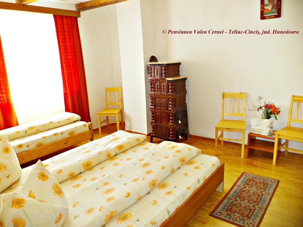Pensiunea Valea Cernei Teliucu Inferior Camera foto
