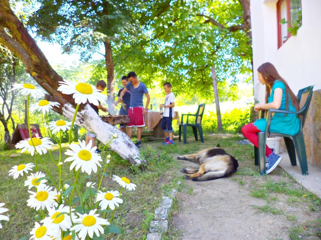 Pensiunea Valea Cernei Teliucu Inferior Esterno foto