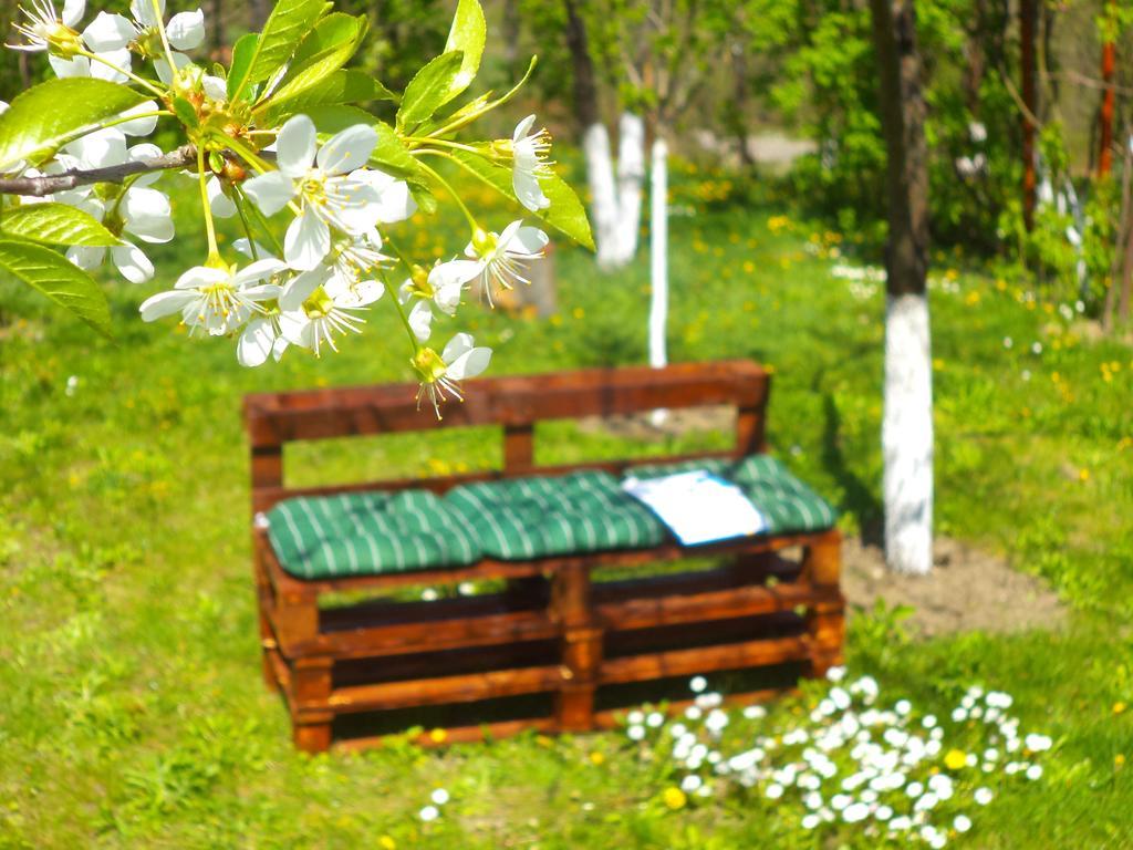 Pensiunea Valea Cernei Teliucu Inferior Esterno foto